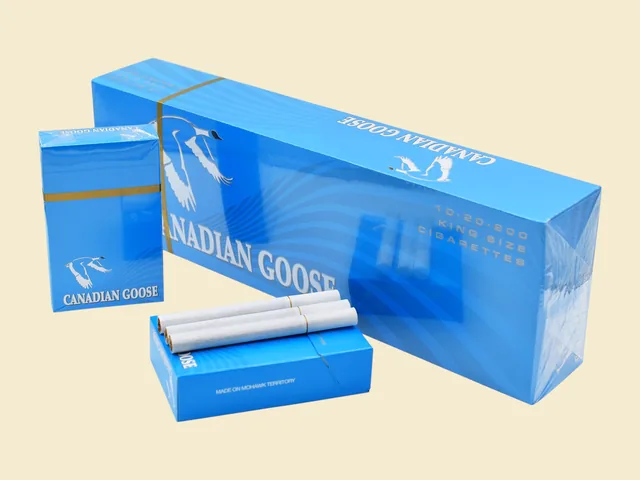Canadian Goose Blue Light